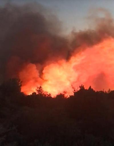Son dakika Karaburunda korkutan orman yangını