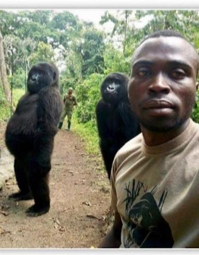 Selfiede poz veren goril öldü