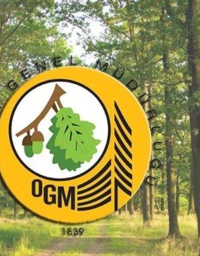 Orman Genel Müdürlüğü personel alımı şartları: OGM personel alımı başvurusu nasıl yapılır
