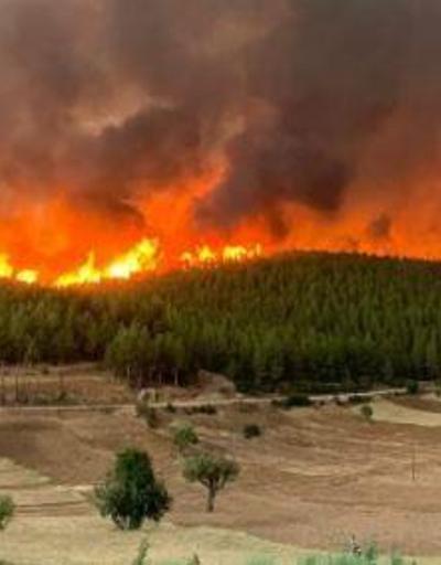 Uzmanlardan iklim senaryolarına uygun yangın eylem planı önerisi