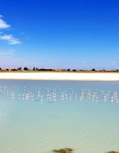 Kuş cenneti Arin Gölü küçülüyor
