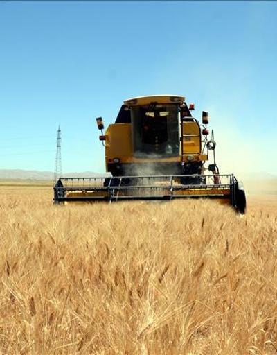 TÜİKten korkutan tahmin: Buğdaydan nohuta pek çok ürün risk altında