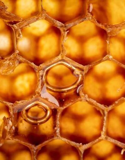 Besin takviyesi olan arı poleni kalbi koruyor, bağışıklığı güçlendiriyor