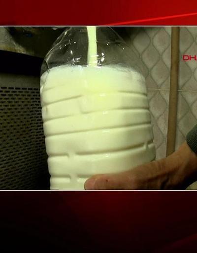 Son Dakika | Süt fiyatları neden arttı Uzman isim CNN TÜRKte anlattı