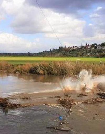 Balık ölümlerinin yaşandığı Menderes Nehri molozlardan temizlendi