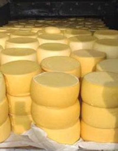 Sivasta 1 ton 800 kilo menşei tespit edilemeyen kaşar peyniri ele geçirildi | Video Haber