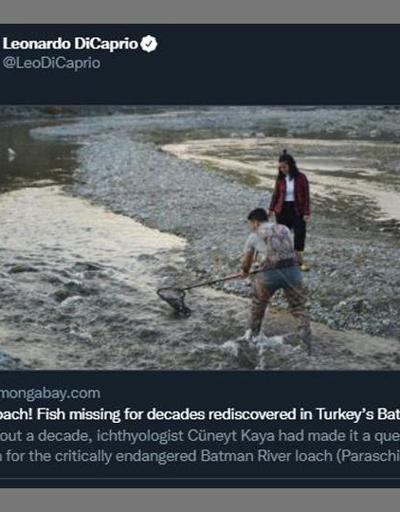 Leonardo DiCapriodan Batman Bantlı Çöpçü Balığı paylaşımı