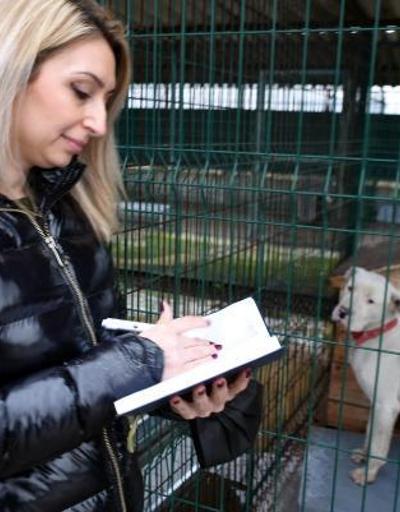 Edirnede yasaklı ırk köpekler için barınakta yer kalmadı