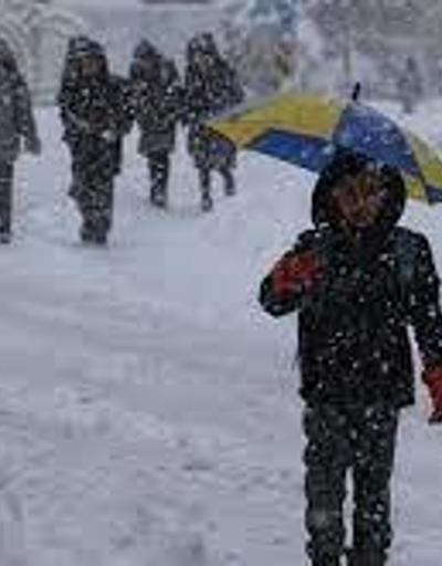 Son dakika: Van’da okullar tatil mi 17 Ocak 2022 Van’da yarın okul var mı yok mu Ordu Valiliği kar tatili açıklaması yaptı mı