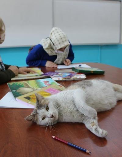 Okuma-yazma kursunun ‘Şans’lı kedisi