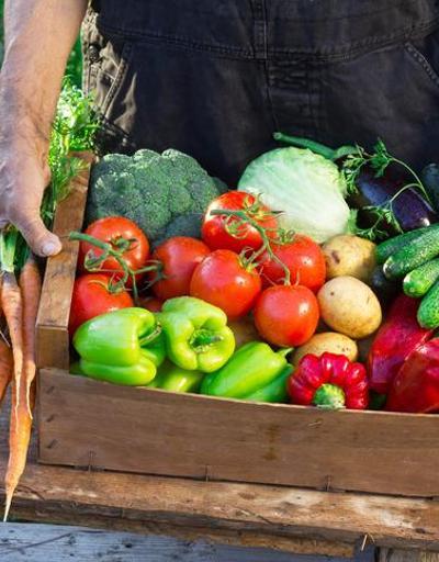 Haberler... Temel gıda ürünleri nelerdir 2022 temel gıda ürünleri KDV oranı yüzde 1 oldu