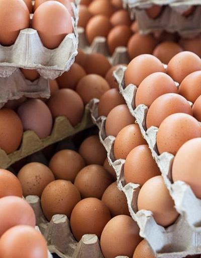 Yumurta fiyatlarına müfettiş incelemesi