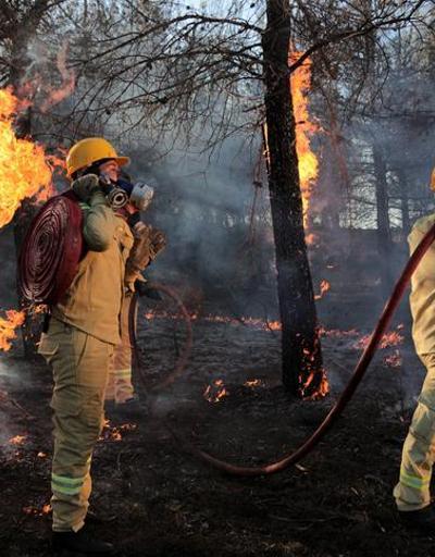 OGM yangın işçisi alımı ne zaman, şartları neler Tarım ve Orman Bakanlığı 5 bin yangın işçisi alacak