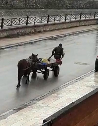 Atı yorulunca arabayı kendisi çekti