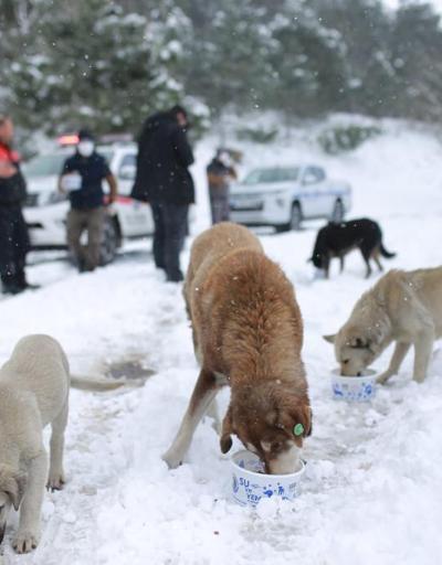 Son dakika haberi: Kar İstanbulda etkisini arttırıyor Kare kare son durum