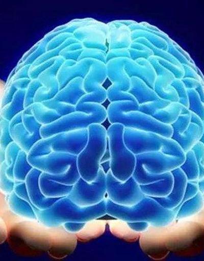 Beynin Görevleri Nelerdir Beyin Vücutta Ne İşe Yarar