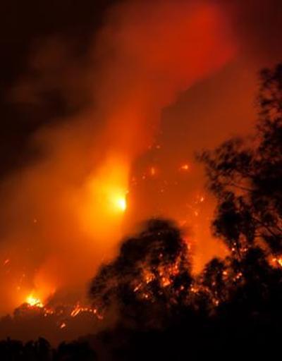 Meksikada orman yangını alarmı: Kontrol altına alınamıyor