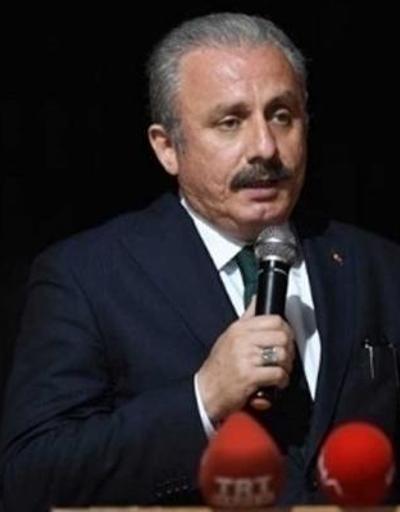 SON DAKİKA HABERİ: TBMM Başkanı Şentop, sözde Ermeni soykırımı teklifini iade etti