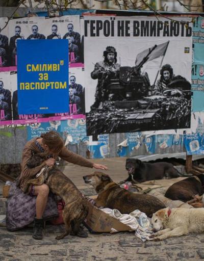 İrina da bir kahraman: Kievde sahipsiz kalan hayvanların gönüllü koruyucusu