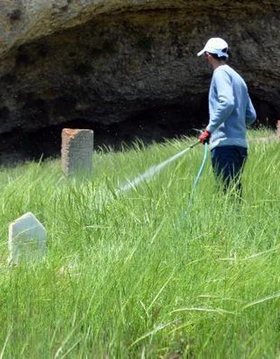 Adilcevaz Belediyesi ekipleri mezarlıklarda ilaçlama yaptı