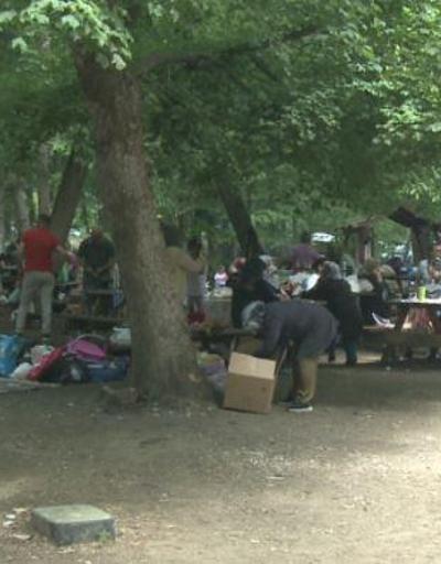 Piknikçiler Belgrad Ormanına akın etti