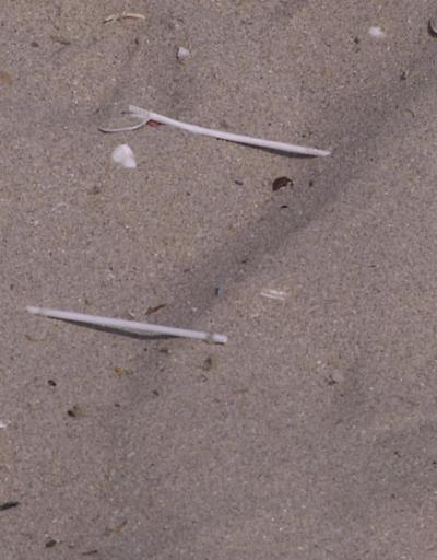 Kulak çubukları denizleri kirletiyor