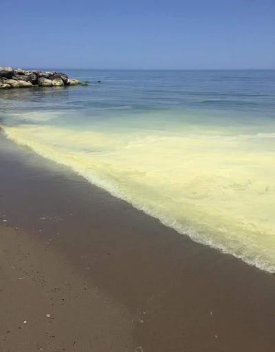 Sinopta sahilde endişelendiren görüntü Nedeni araştırılıyor