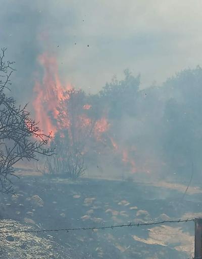 SON DAKİKA: Muğlada iki ayrı noktada orman yangını