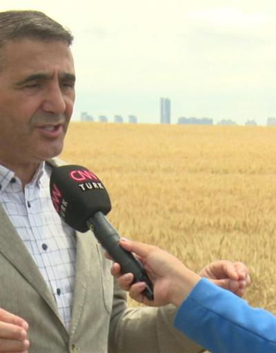 İstanbulda tarım arazileri ne durumda