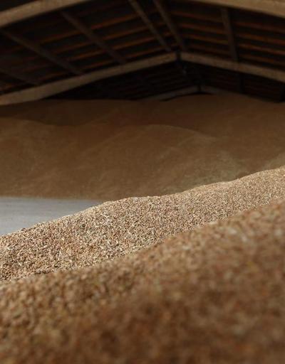 Rusya’nın tahıl anlaşmasından çekilmesinin ardından yükselen fiyatlar tehlike arz ediyor