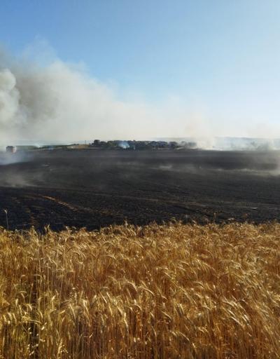 100 ton buğday zarar gördü Silivride tarla alev alev yandı