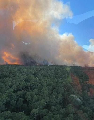 Fransa’da orman yangını: Bin 500 hektarlık alan kül oldu