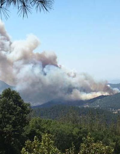 SON DAKİKA: Balıkesirde orman yangını Valilikten ilk açıklama