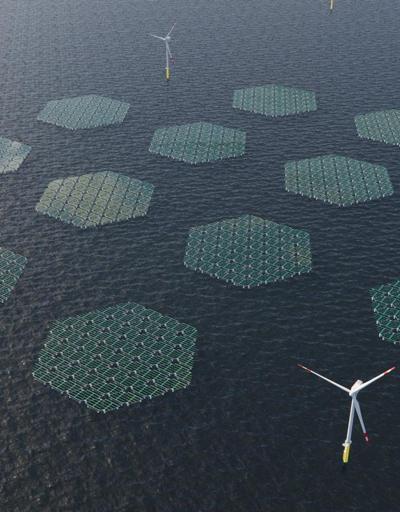 Kuzey Denizinde pilot proje: Yüzen güneş enerjisi parkı