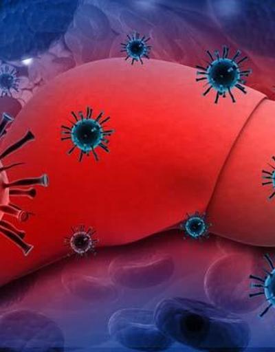 Uzmanından uyarı: “Hepatit virüsü kansere neden olabilir”