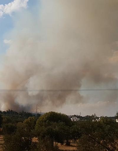 İzmirde tarım alanında yangın
