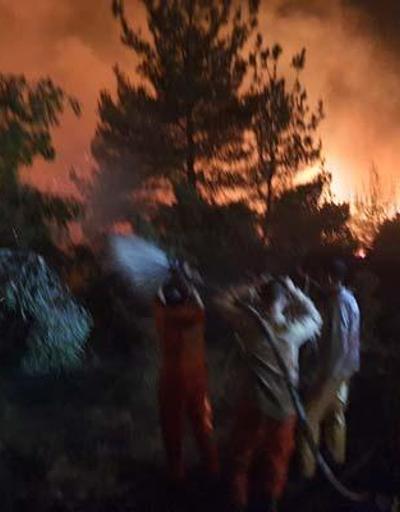 Manisa Somada orman yangını