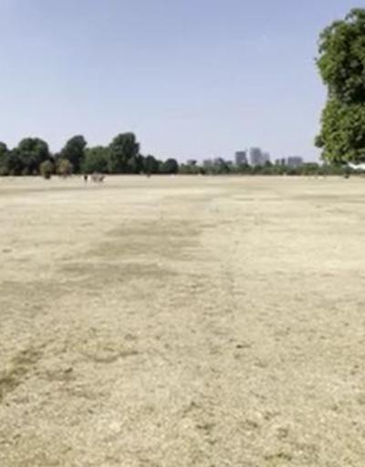 Londrada aşırı sıcak krizi: Çimlerde sonbahar havası