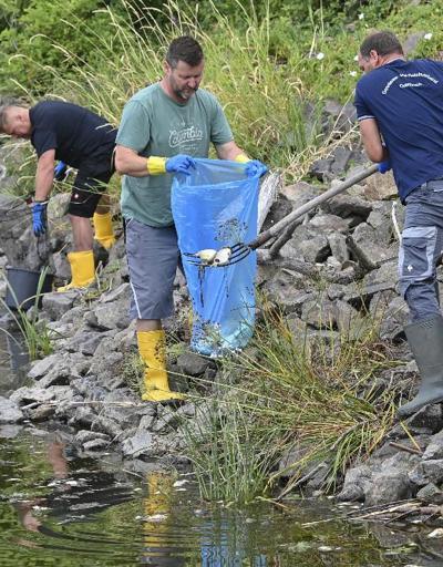 Felaketin nedeni araştırılıyor: Oder Nehrinden 100 ton ölü balık çıkarıldı