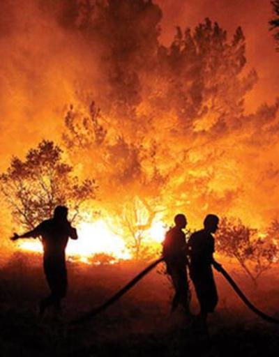 Orman yangınlarını önleyecek erken tespit sistemi KOZALAK hayata geçirildi