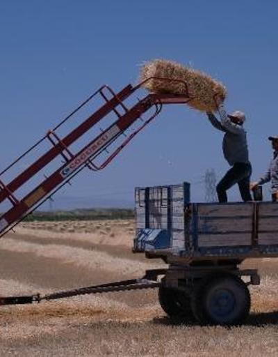 Konyanın geri dönüşü Türkiyenin tahıl ambarından 2,2 milyon ton rekolte