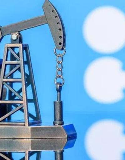 OPEC: Petrol önemini kaybetmeyecek