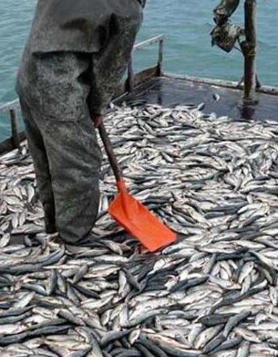 Bakan Kirişciden balıkçılara müjde: Ziraat Bankası kredi kullandıracak