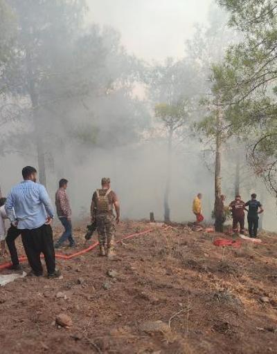 Hatayda orman yangınında 5 hektarlık alan zarar gördü