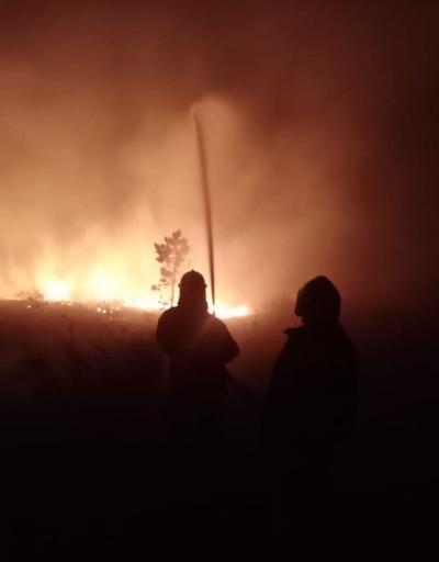 Kazakistanda orman yangını: 10 yaralı