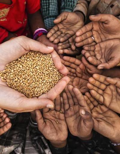 Gıda programı direktöründen kritik uyarı: Açlık dalgası tsunami haline geldi