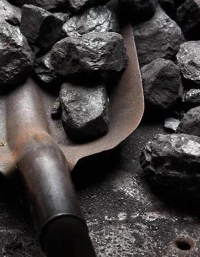 Taş kömürü ithalatı Temmuzda yükseldi
