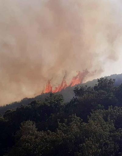 Antalyada makilik yangını: Müdahale ediliyor