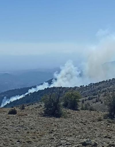 İzmir-Bergamada orman yangını