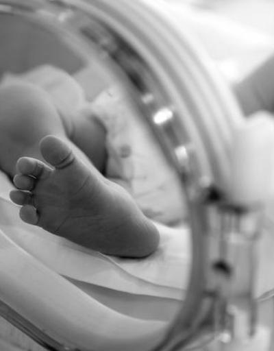 7 bebeği öldürmekle suçlanıyor: Evinden çıkan notlar kan dondurdu